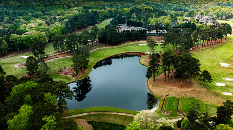 Aerial of Greensboro, Georgia