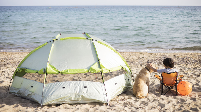 child with dog near beach tent