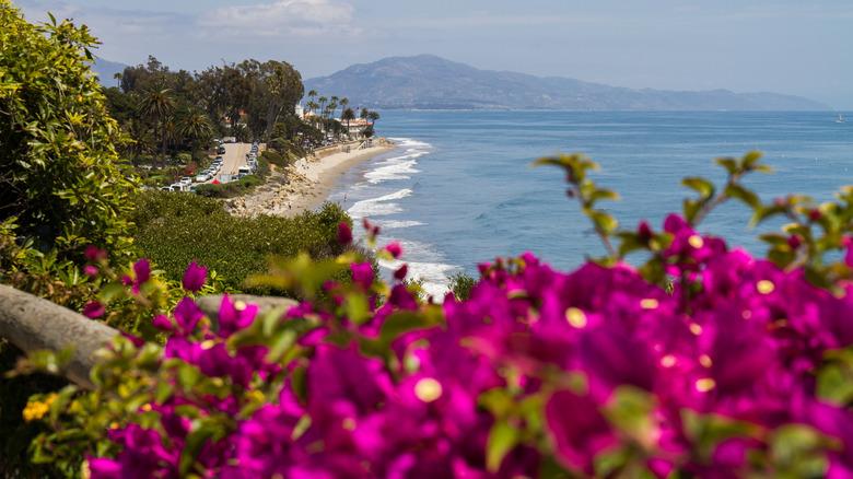 View of Montecito coastline with flowers and hills